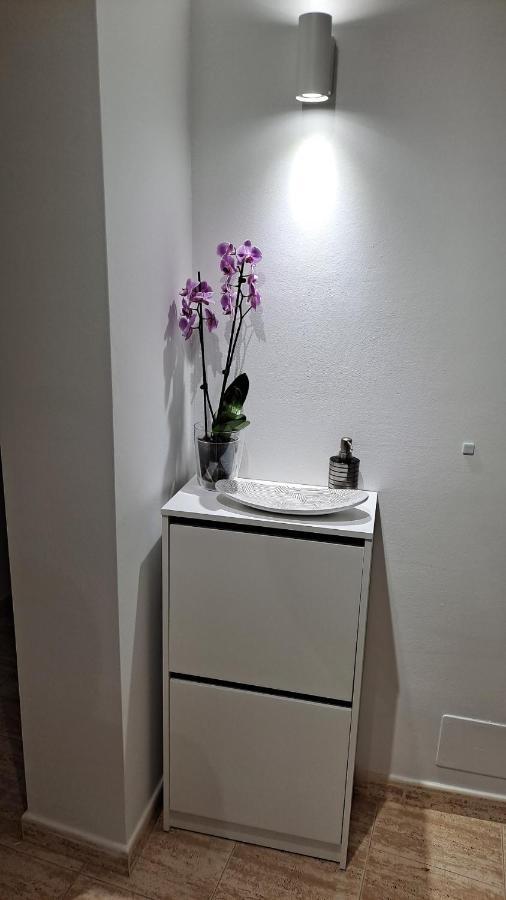 San Pedro La Casita Del Arco Aticoアパートメント エクステリア 写真